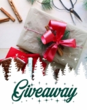 Chapman’s Winter Giveaway: Win a massive Chapman’s Ice Cream prize pack