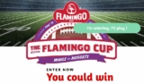 The Flamingo Cup Superbowl Contest: Win a trip to the Grey Cup 2019 Samsung TVs and more at flamingo.ca