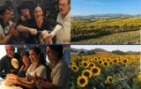 Galbani True Taste of Italy Contest: Win a Culinary trip to Italy or weekly prizes at www.truetasteofitaly.ca