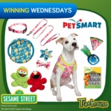 Treehouse Contest: Win a prize pack of Sesame Street pet apparel and accessories