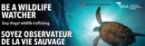 Be a Wildlife Watcher Contest: Win Air Canada round-trip tickets