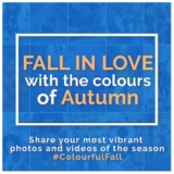The Weather Network Colourful Fall Contest: Win a $100 Visa gift card