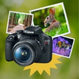 Backyard Biologist Contest 2023: Win 1 of 3 Rebel T7 Cameras