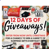 Lastman’s Bad Boy 12 Days of Giveaways 2020: Win surprise gifts every day