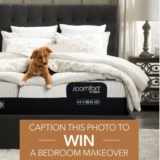 The Brick National Puppy Day Contest: Win a bedroom makeover valued at $1000