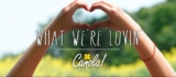 Win a $100 grocery gift card and Canola Eat Well prize package