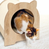 Win a Vesper Minou cat furniture from Catit