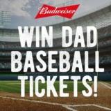 Kelseys and Budweiser Contest: Win 1 of 2 sets of tickets to watch a Toronto Blue Jays Game