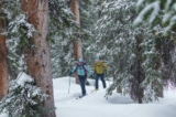Freeskier Contest: Win the ultimate ski kit from Dynafit valued at $979