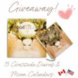 Win 1 of 13 Gratitude Diaries & Moon Calendars 2023