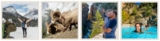 Parks Canada Discover Canada Contest 2020: Win a trip for 4 to Canada’s Rocky Mountains at parkscanadacontest.ca