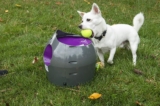 The Gate Contest: Win an Automatic Ball Launcher courtesy of PetSafe