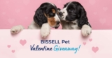Bissell Pet Valentine Contest: Win a $1,000 prize pack including a SpinWave robotic vacuum + an air220 Air Purifier