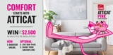 Owens Corning ATTICAT Contest 2021: Win up to $2,500 in an attic re-insulation