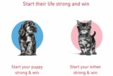 Royal Canin Start Strong Contest: Win 1 of 22 prizes of a one year supply of puppy or kitten food