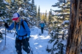 Freeskier Contest: Win a VIP ski day at Bluebird Backcountry for yourself and three friends