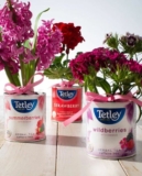 Tetley Contest: Win a Tetley prize pack for you and your mother